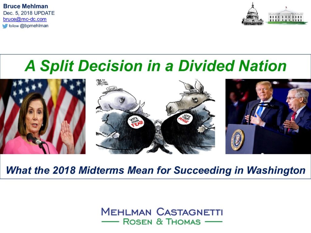'A Split Decision in a Divided Nation' Infographic Thumbnail